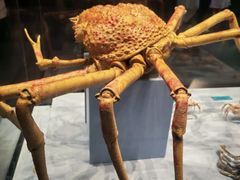 -天津自然博物馆