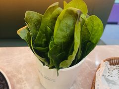 -濠七糟粕醋·椰子鸡火锅(上海首店)