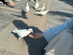 -天津妈祖文化园