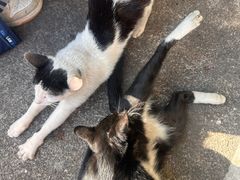 -颓记茶餐厅(美景总店)