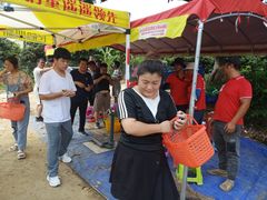 -从化深英荔枝黄皮龙眼采摘园