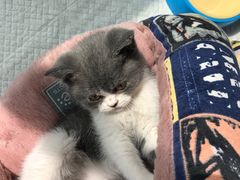 -恒康宠物医院(司背后街店)