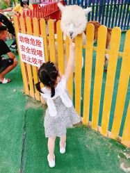 -萌宠亲子动物乐园(槐房万达店)