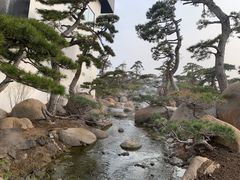 -罗红摄影艺术馆