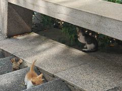 -荔湾湖公园