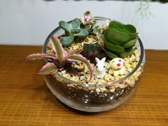 -A+匠心DIY手工坊·首饰·微景观