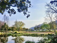 -长广溪湿地公园