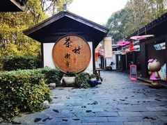 -天目湖山水园