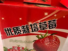 -小鱼草莓采摘园农家乐·小鱼餐厅
