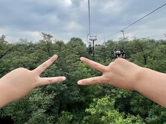 -南戴河国际娱乐中心