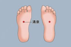 -金美秀瘦身养生