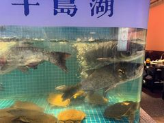 -鸽子侯·家宴·平价海鲜(市图书馆店)
