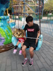 -大望京儿童游乐场