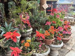 -西双版纳傣族园