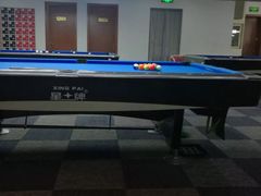 -丁俊晖台球俱乐部(长寿路店)