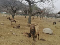 -西安秦岭野生动物园