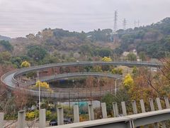 -福道