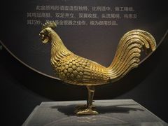 -青海藏文化博物院