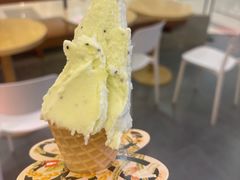 -野人先生Gelato(上海长宁龙之梦店)