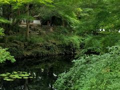 -秋霞圃