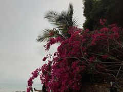 -冠头岭