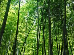 -陶祖圣境风景区