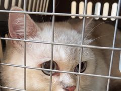 -宠颐生汉谟拉比宠物医院