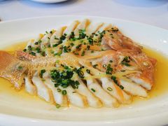 -骏莱海鲜鱼港(五角场店)