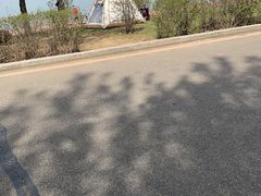 -丁香湖公园