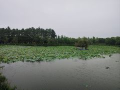 -艾溪湖湿地公园
