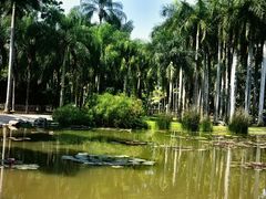 -中国科学院西双版纳热带植物园