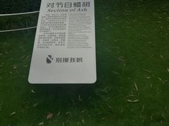 -苏州河梦清园环保主题公园