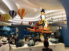 -帝企鹅自助餐厅•儿童岛•真企鹅(长隆企鹅酒店)