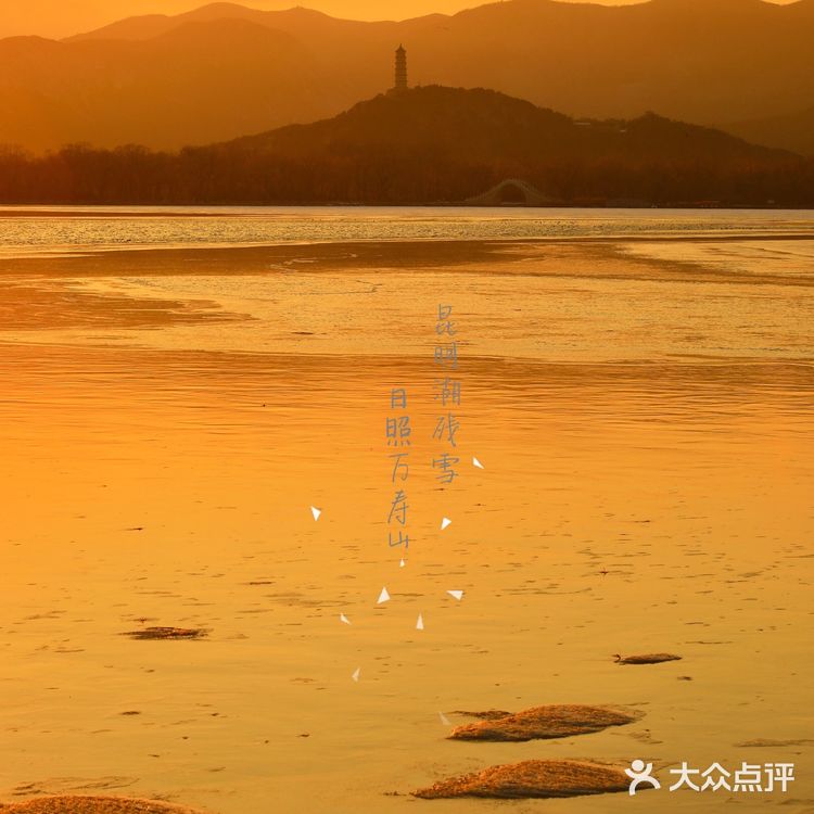 拔草颐和园内夏宫·颐和竟春下午茶