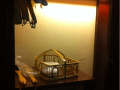 iphone_upload_pic-广州碧桂园凤悦凤凰城酒店