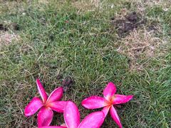 -厦门国家会计学院