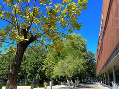 -南开大学-学生第2食堂