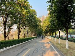 -广东花都湖国家湿地公园