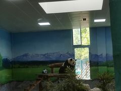 -临沂动植物园