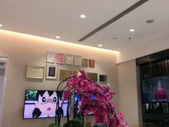 -TSK齿科德申会口腔门诊·联洋诊所