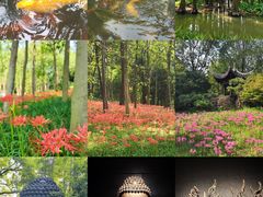 -杭州植物园