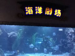 -南昌海洋公园