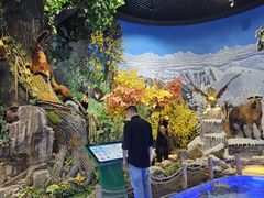 -高颐墓阙及石刻