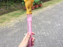 -上海海湾国家森林公园