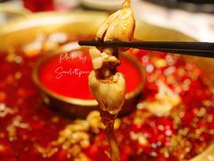 -哥老官重庆美蛙鱼头(虹口龙之梦店)