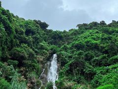 -梧桐山风景名胜区