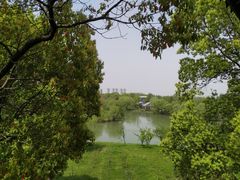 -苏州太湖国家湿地公园