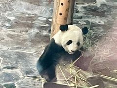 -济南野生动物世界
