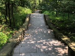 -大岭沟猕猴桃谷风景区