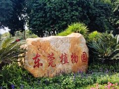 -东莞植物园